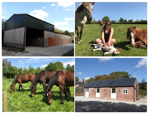 Equine Centre takes the reins at Stenson barn conversion