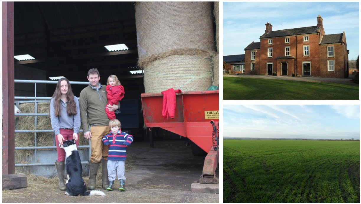 New tenants at Normanton farm lay the groundwork for going organic